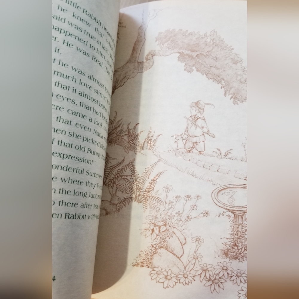 The Velveteen Rabbit Book - Picture 4 of 6